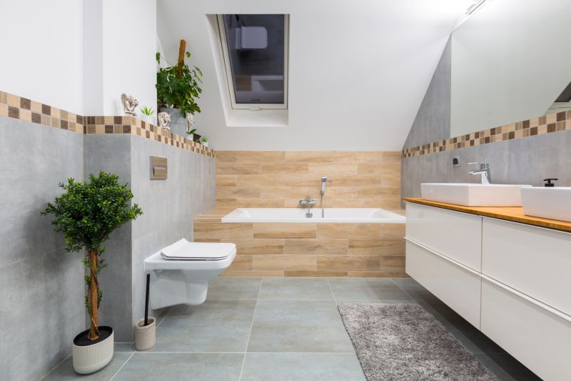 Bathroom Modification in Sarasota, FL